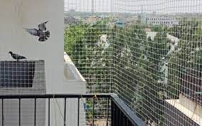 Bird Net Installation