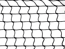 Black Safety Nets